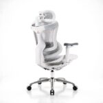 C-300 - Image 3