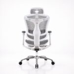 C-300 - Image 5